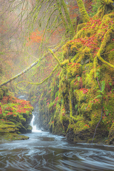 苏格兰Aberfeldy的Birks