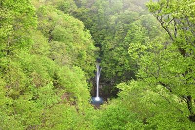 日本枥木，那须，夏日碧水瀑布