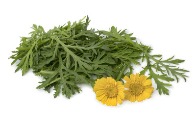 新鲜生汤和菠菜及花