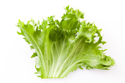 生菜沙拉孤立