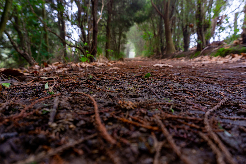 从地面角度看，奥卡雷卡湖周围的步行道