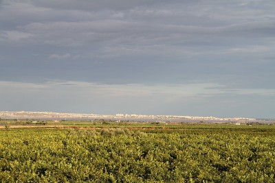 Torrevieja