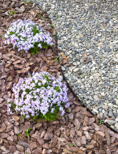 花圃。