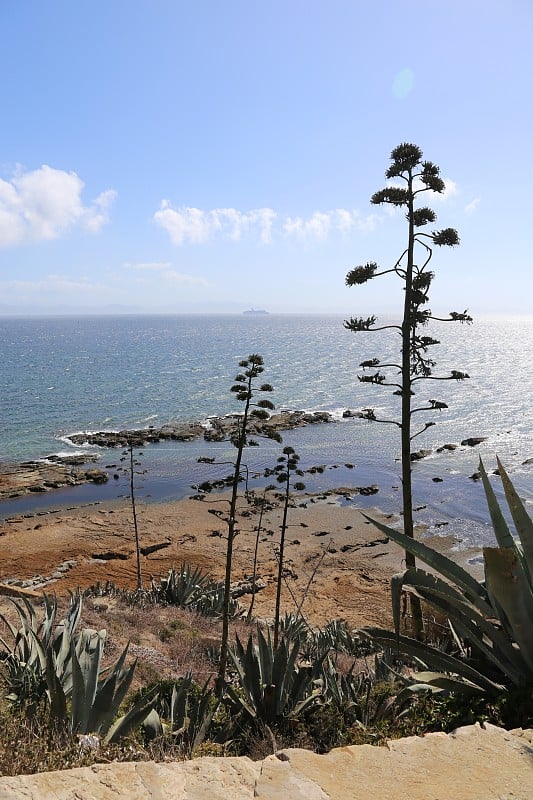 Tarifa