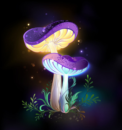 两个发光的蘑菇