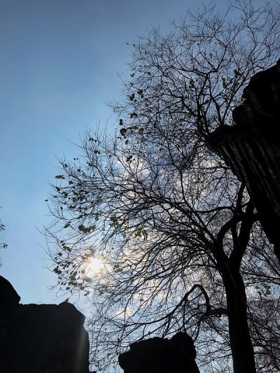 禅寺的天空