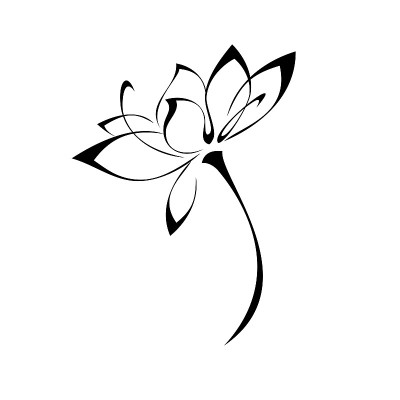 盛开的花152
