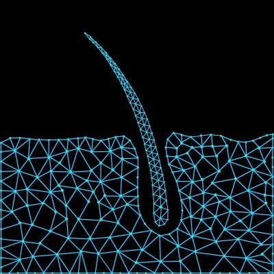 Abstract structure of hair growth. Vector illustra