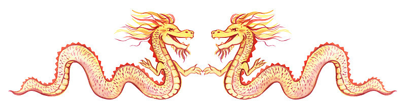 中国龙。水彩画的金龙。中国新年。假期。白色背景上的龙。