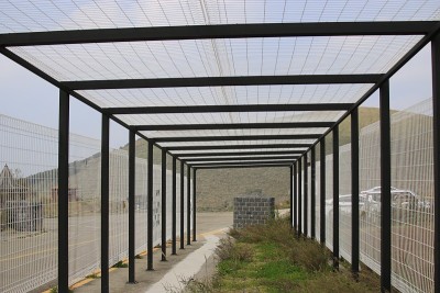 鸟起来，花园，鸟，秋天，马，