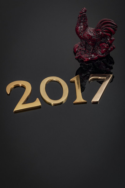 2017年是中国的鸡年