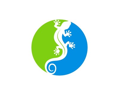 蓝色和绿色的圆圈形状，里面有蜥蜴