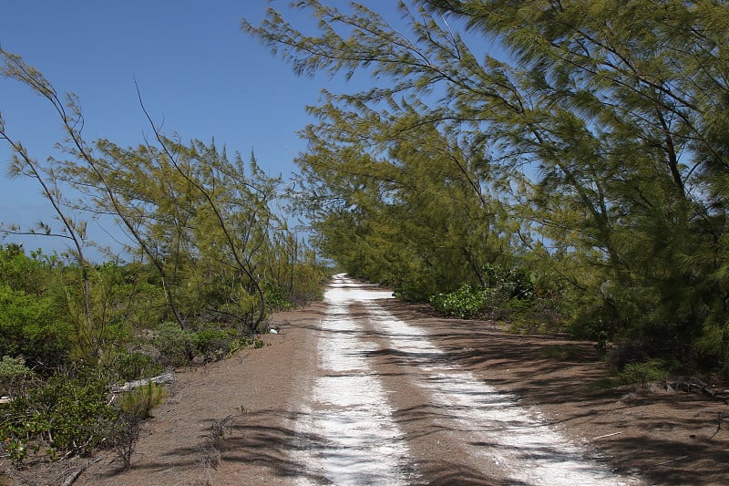 偏远的道路中凯科斯岛，特克斯和凯科斯群岛