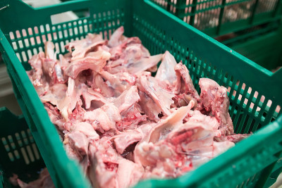肉类加工厂的鸡肉。