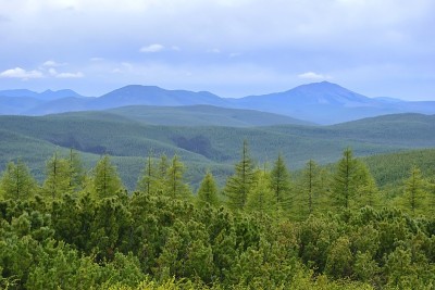 山口。Bureya地块。俄罗斯远东哈巴罗夫斯克边疆区。