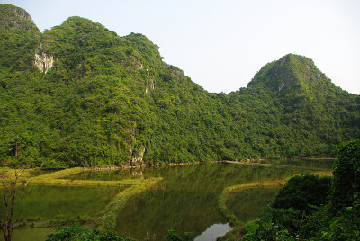 猫巴岛