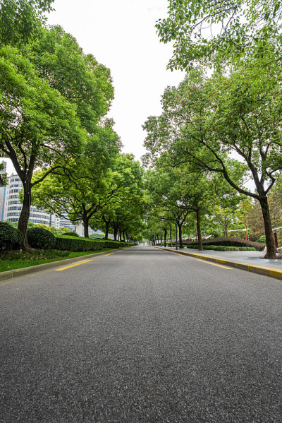 这座城市绿树成荫的柏油路。