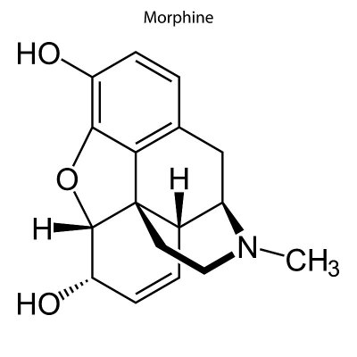 化学分子的骨架式。