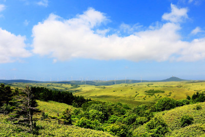 大豆山