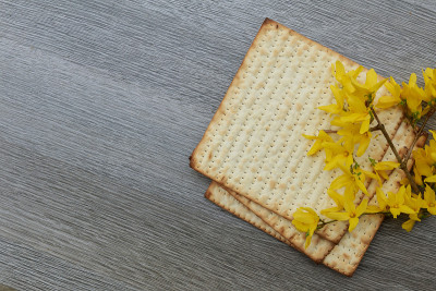 犹太培育matza