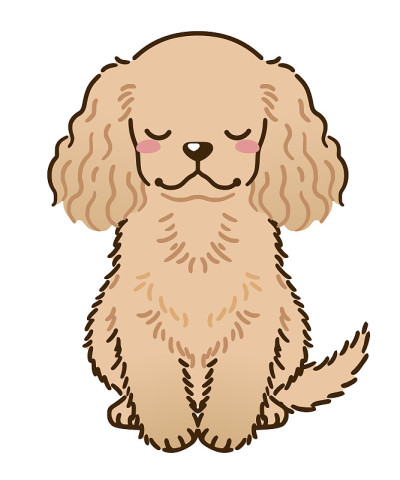 美国可卡犬问候(红色)