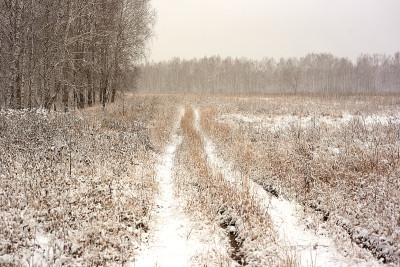 雪地里的土路