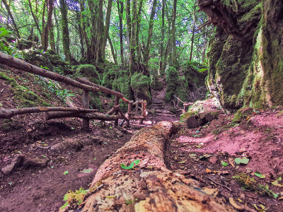 神奇的Puzzlewood