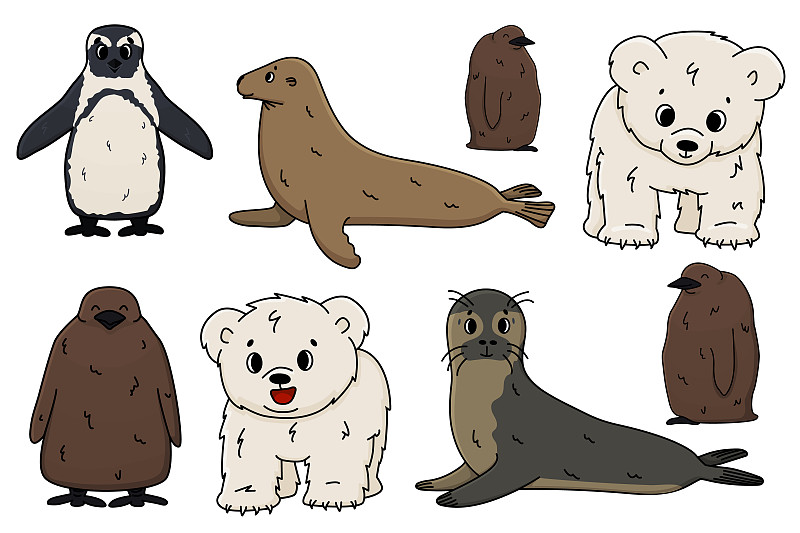 Vector Penguin, king Penguin chick, fur seal, pola