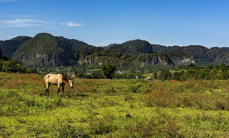 “古巴烟草之心”- Viñales Valley