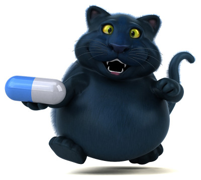 有趣的猫- 3D插图