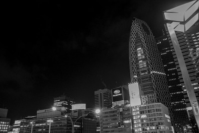 东京新宿的摩天大楼(单色)