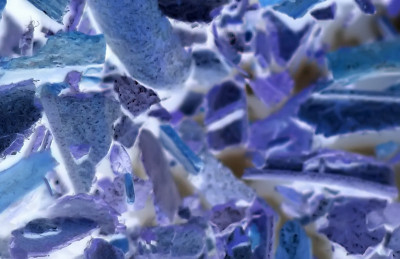 在显微镜下观察人体的细胞。微生物学与医学-图像“