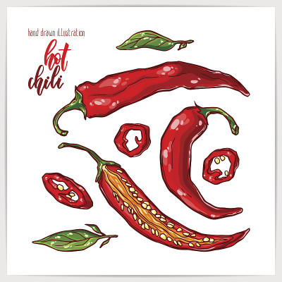 Vector illustration of colorful hand drawn chili p