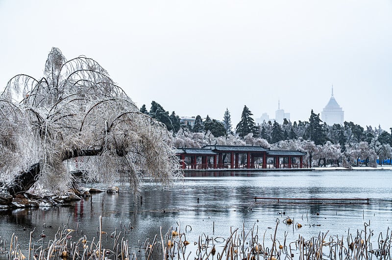 中国长春南湖公园的冬季景观雨雪过后