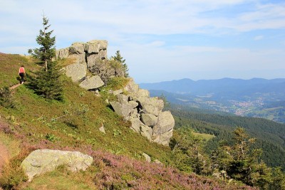 孚日山脉的风景