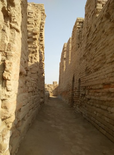 Mohenjo Daro街景。摩亨的城墙。这是印度河文明的遗迹。