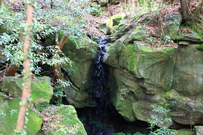 森林，Hallasan，山谷，石头，苔藓门，苔藓楼梯，苔藓，寺庙，Hyonom，