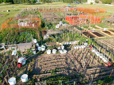 城市农场鸟瞰图。在城里种植和种植蔬菜。俯瞰由市民附近建筑建造的城市花园。