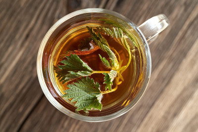 新鲜荨麻在一杯花草茶，俯视图