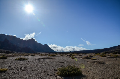 泰德火山国家公园的沙漠景观