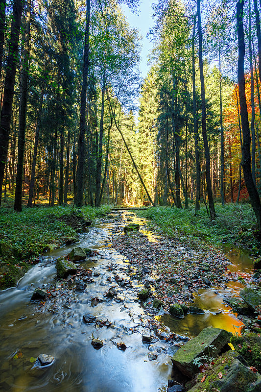 秋高气爽，秋野河都布拉瓦，风景如画。