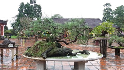 寺庙的后院