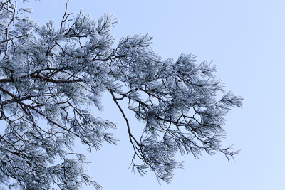 一场雪后的冬日