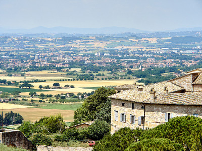 Asisi