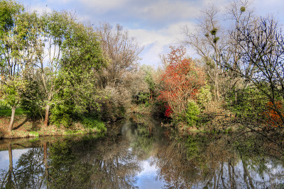 Herbstlaub