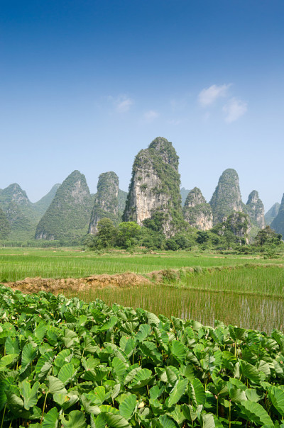 中国桂林阳朔的典型景观