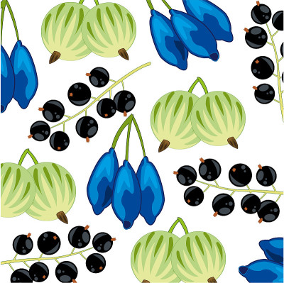 Edible berry pattern on white background is insula