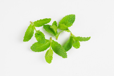 薄荷