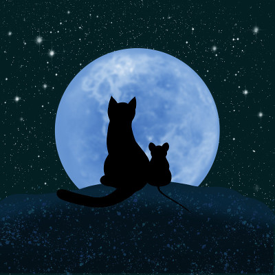 猫和老鼠看着月亮和星空