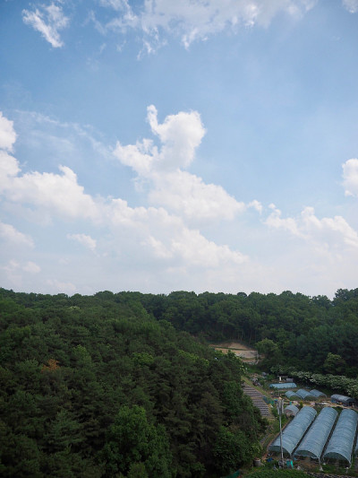 韩国清州的乡村景观